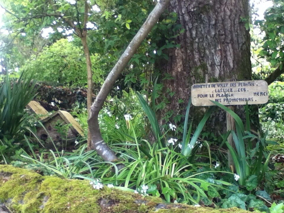La Maison de Blanche Neige