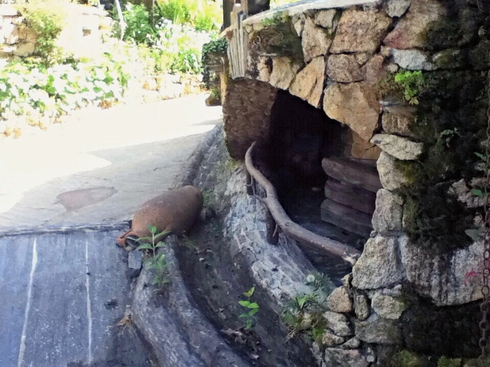 La Maison de Blanche Neige